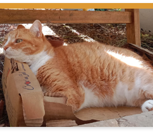 Connexion empathique avec les animaux, Ardèche